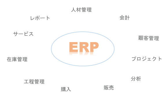 erp